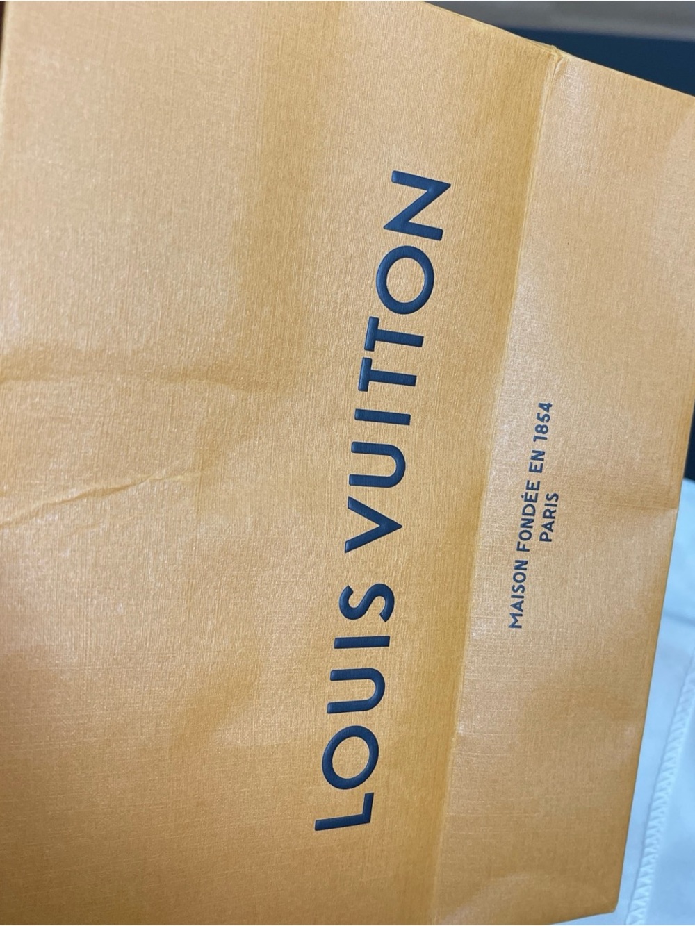 Louis Vuitton Gift bag & wallet dust bag - Picture 3 of 5